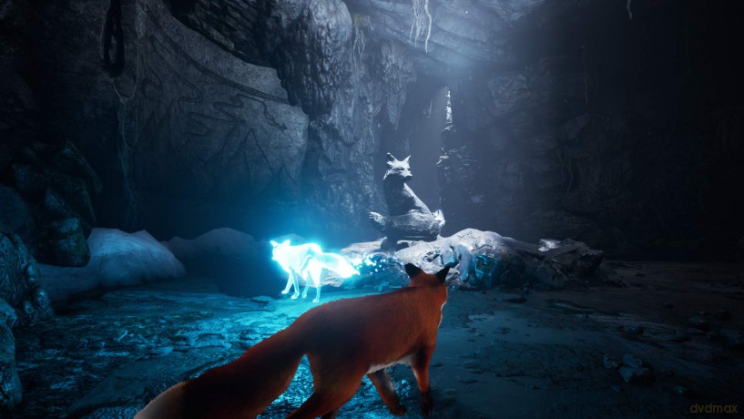 Spirit of the North [GRA SWITCH]