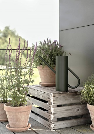 Stelton - Bloom Watering Can 2 L (Pine)