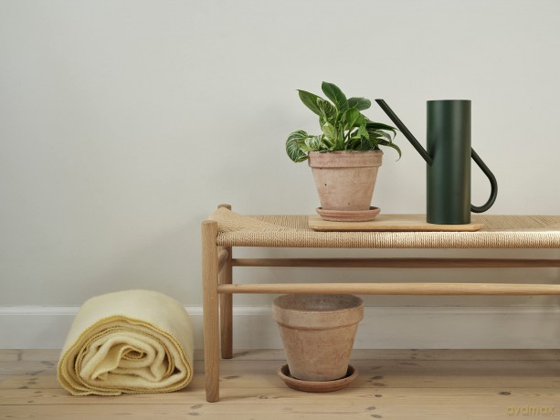 Stelton - Bloom Watering Can 2 L (Pine)
