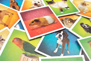 Tactic - Pets Memo (41439)