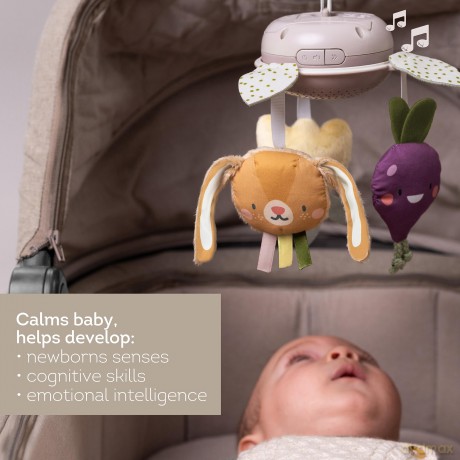 TAF Garden - Take Along Mobile (259-13275)