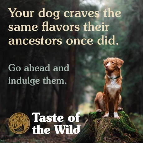 Taste of the Wild - Pacific Stream - 390 g