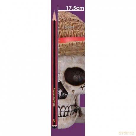 TBN One Piece Luffy Jolly Roger Box [FIGURKA]