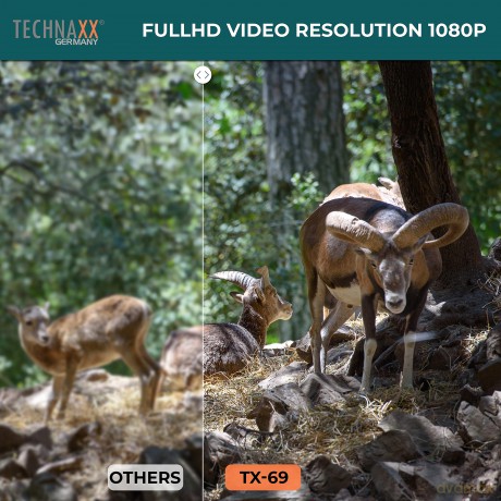 Technaxx - Nature Wild Cam - TX-69 [SPORT]