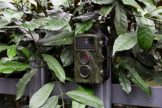 Technaxx - Nature Wild Cam - TX-69 [SPORT]
