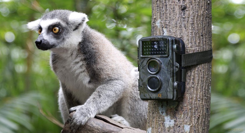Technaxx - Nature Wild Cam - TX-69 [SPORT]