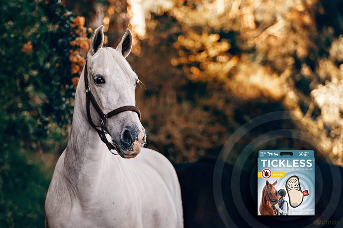 Tickless - Pet Horse - Beige