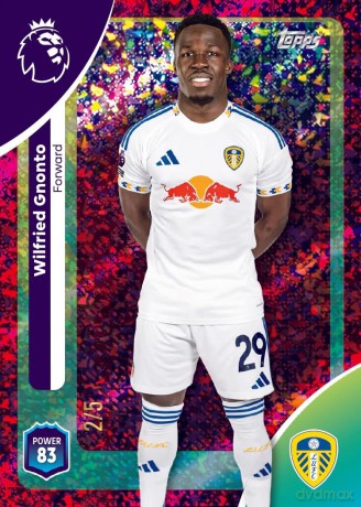 Topps - Premier League Eco Pack (PL25-04)