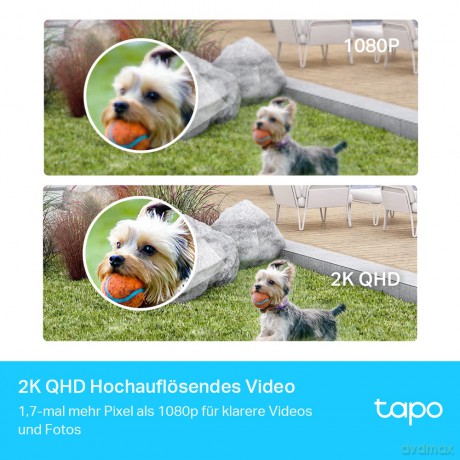 TP-Link - Tapo Smart Wire-Free Security Camera System /Tapo C420S2