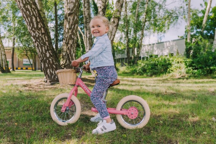 Trybike Steel Basket for bike (30TBS-200-BSK)