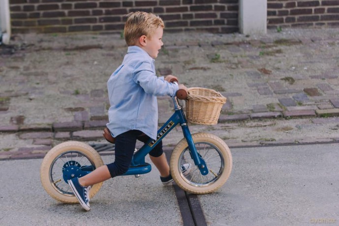 Trybike Steel Basket for bike (30TBS-200-BSK)