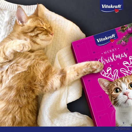 Vitakraft - Christmas calendar for cats - (58560)
