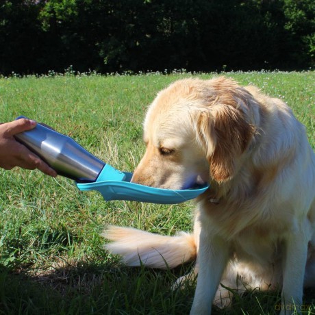Winkee - Water bottle for dogs