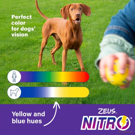 Zeus Nitro - Tugger - Yellow and Blue - 22cm