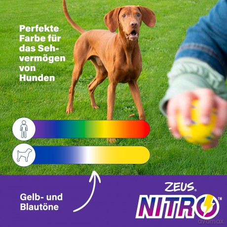 Zeus Nitro - Weighted Rugby Ball - Yellow and Blue - 12.4cm