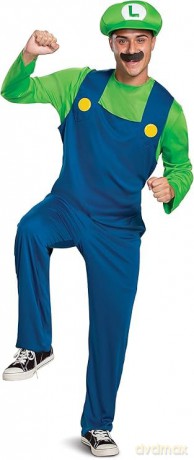 Disguise Super Mario Bros. Luigi Classic Adult M (38-40)