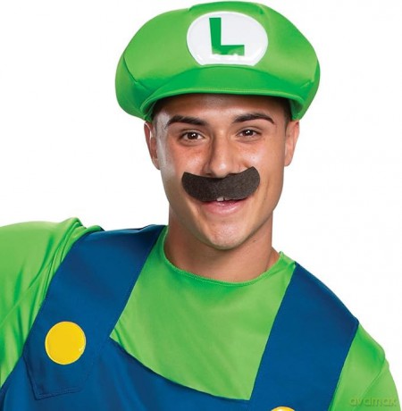 Disguise Super Mario Bros. Luigi Classic Adult M (38-40)