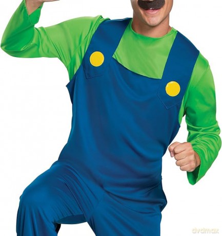 Disguise Super Mario Bros. Luigi Classic Adult M (38-40)