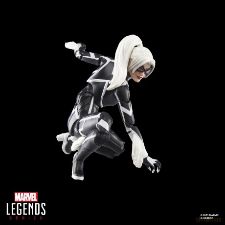 Marvel Legends Series - Spider-Man 2 (Felicia Hardy Black Cat)