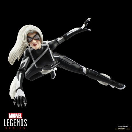 Marvel Legends Series - Spider-Man 2 (Felicia Hardy Black Cat)