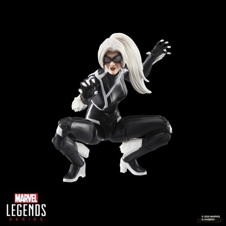Marvel Legends Series - Spider-Man 2 (Felicia Hardy Black Cat)