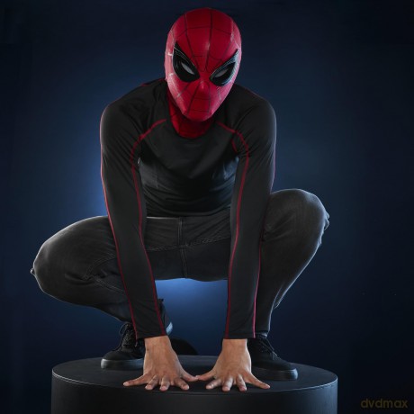 Marvel Legends Series - Spider-Man Homecoming - Electronic Expressive Mask