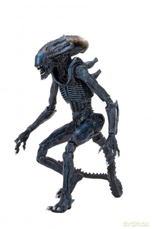 NECA - Aliens - Arachnoid Alien
