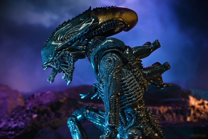 NECA - Aliens - Arachnoid Alien