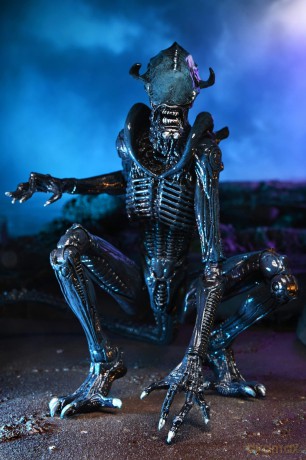 NECA - Aliens - Arachnoid Alien