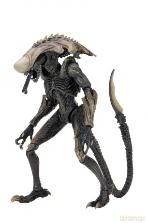 NECA - Aliens - Chrysalis Alien