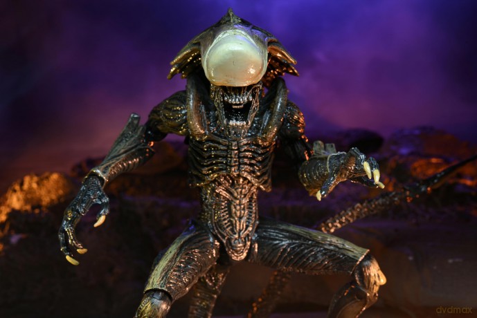 NECA - Aliens - Chrysalis Alien