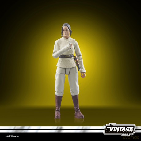 Star Wars - The Vintage Collection -The Acolyte - Jedi Master Indara