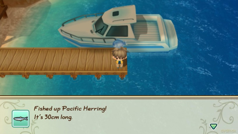 Story of Seasons: Friends of Mineral Town [GRA PS4]