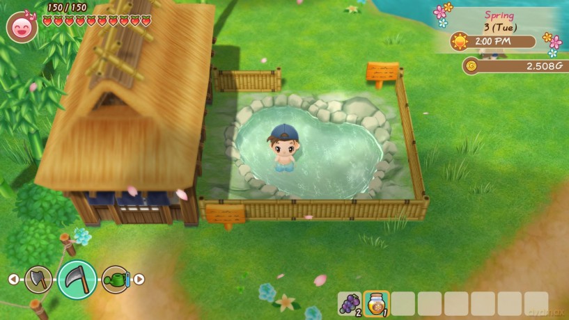 Story of Seasons: Friends of Mineral Town [GRA PS4]