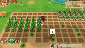 Story of Seasons: Friends of Mineral Town [GRA PS4]
