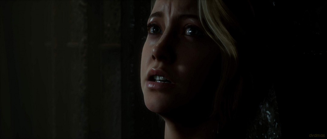 The Dark Pictures Anthology: Man of Medan [GRA PS4]