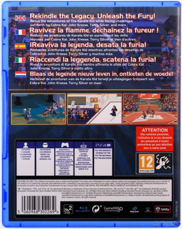 The Karate Kid: Street Rumble [GRA PS4]