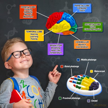 Tree Toys - Medical Science