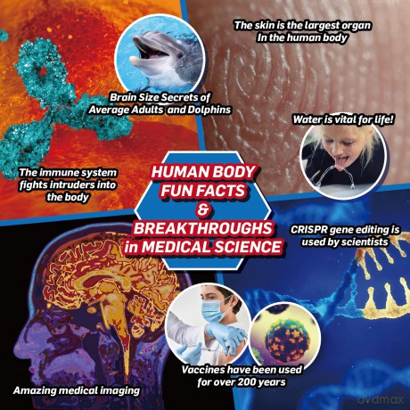 Tree Toys - Medical Science
