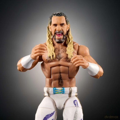WWE - Elite Collection Figures - Seth Rollins