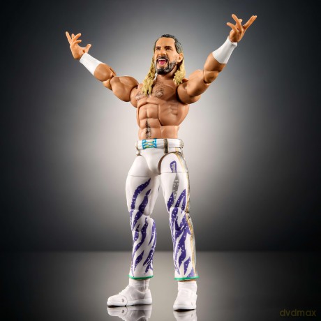 WWE - Elite Collection Figures - Seth Rollins