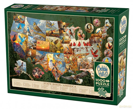 COBBLE HILL 1000 el. Ptaki symbole amerykańskich stanów 113528 [PUZZLE]