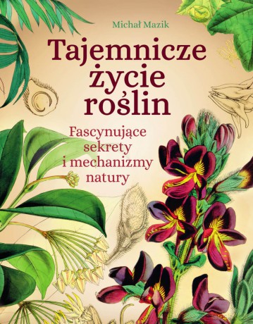 Tajemnicze życie roślin. Fascynujące sekrety i mechanizmy natury - Michał Mazik [KSIĄŻKA]
