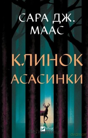 Assassin's blade w.ukraińska - Sara Maas [KSIĄŻKA]
