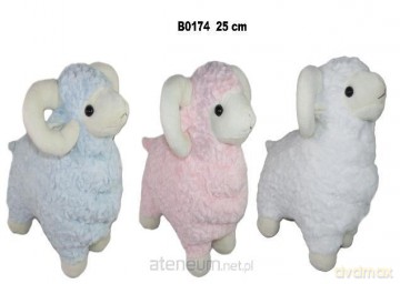 Baran 25cm MIX
