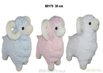 Baran 30cm MIX