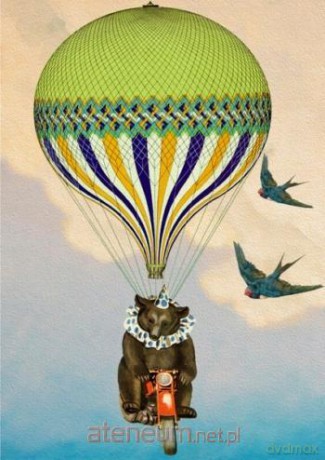 Karnet B6 z kopertą Cyrkowy miś