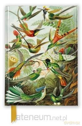 Notatnik A6 linia Kolibry Ernst Haeckel