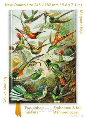 Notatnik quatro linia Kolibry Ernst Haeckel