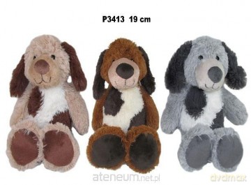Pies 19cm MIX